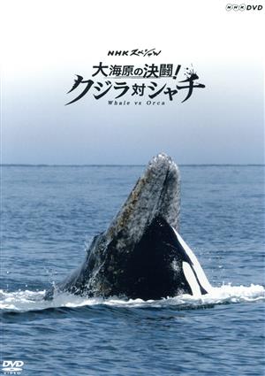 NHKスペシャル 大海原の決闘！ クジラ対シャチ