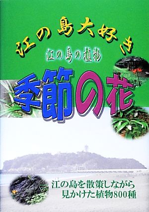 江の島大好き江の島の植物 季節の花