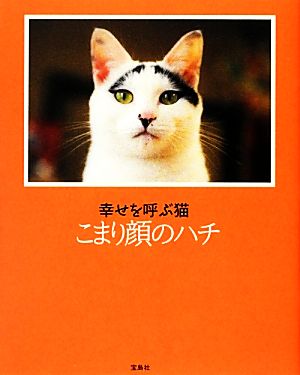 こまり顔のハチ 幸せを呼ぶ猫