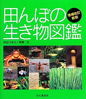 田んぼの生き物図鑑 ヤマケイ情報箱