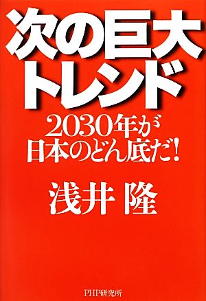 次の巨大トレンド 2030年が日本のどん底だ！