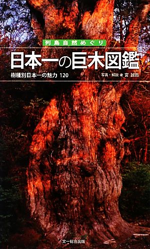 日本一の巨木図鑑 樹種別日本一の魅力120 列島自然めぐり