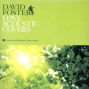 DAVID FOSTER LOVE ACOUSTIC COVERS