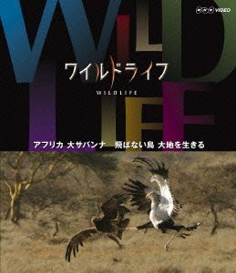 ワイルドライフ アフリカ大サバンナ 飛ばない鳥 大地を生きる(Blu-ray Disc)