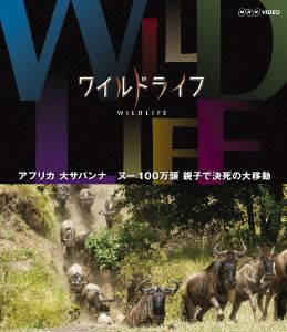 ワイルドライフ アフリカ大サバンナ ヌー100万頭 親子で決死の大移動(Blu-ray Disc)