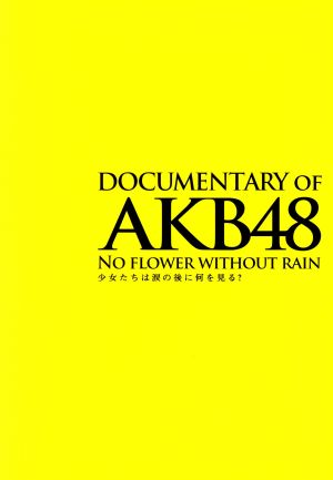 DOCUMENTARY of AKB48 NO FLOWER WITHOUT RAIN 少女たちは涙の後に何を見る？ スペシャル・エディション