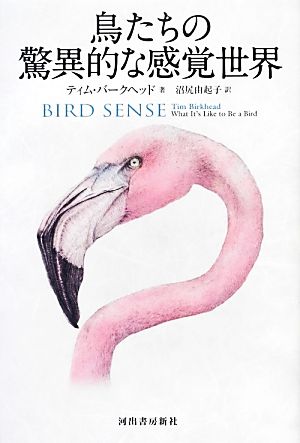 鳥たちの驚異的な感覚世界