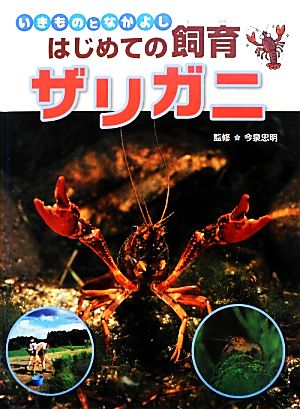 いきものとなかよしはじめての飼育 ザリガニ