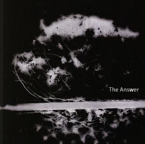 The Answer(B)
