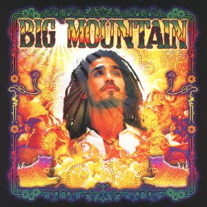 BIG MOUNTAIN BEST GROOVE