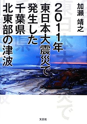 2011年東日本大震災で発生した千葉県北東部の津波