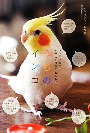 うちのインコ インコへの愛がギューッと深まる「あるある」