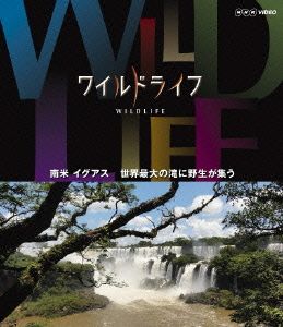 ワイルドライフ 南米 イグアス 世界最大の滝に野生が集う(Blu-ray Disc)