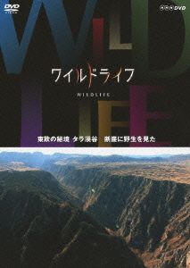 ワイルドライフ 東欧の秘境 タラ渓谷 断崖に野生を見た