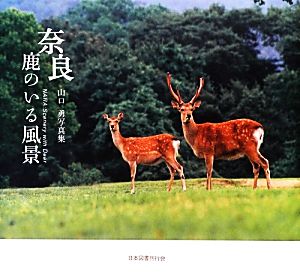 奈良鹿のいる風景 山口勇写真集