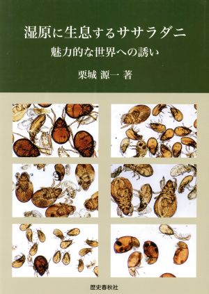 湿原に生息するササラダニ 魅力的な世界への誘い