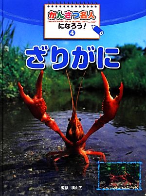 かんさつ名人になろう！(4) ざりがに