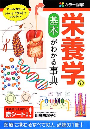 カラー図解 栄養学の基本がわかる事典