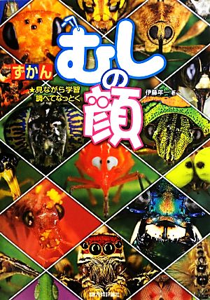 ずかん むしの顔 見ながら学習調べてなっとく『ずかん』シリーズ