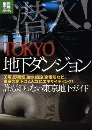 潜入！TOKYO地下ダンジョン 別冊宝島1995