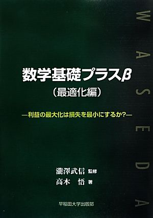 数学基礎プラスβ 利益の最大化は損失を最小にするか？