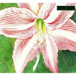 AMARYLLIS