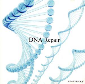 DNA Repair