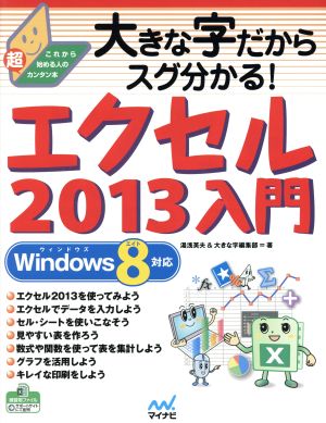 大きな字だからスグ分かる！エクセル2013入門 Windows8対応