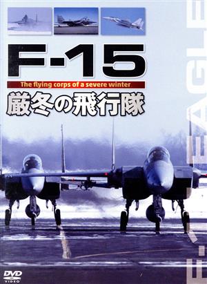 F-15 厳冬の飛行隊