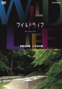 ワイルドライフ 京都法然院 いのちの庭