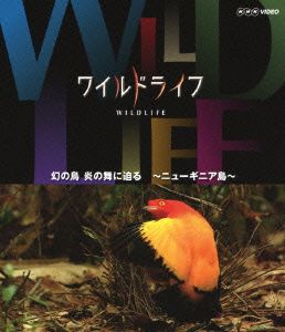 ワイルドライフ 幻の鳥 炎の舞に迫る ニューギニア島(Blu-ray Disc)