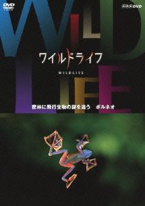 ワイルドライフ 密林に飛行生物の謎を追う ボルネオ