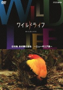 ワイルドライフ 幻の鳥 炎の舞に迫る ニューギニア島