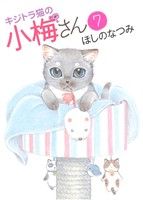 キジトラ猫の小梅さん(7) ねこぱんちC