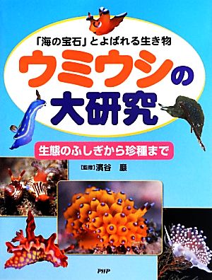 ウミウシの大研究 「海の宝石」とよばれる生き物 生態のふしぎから珍種まで