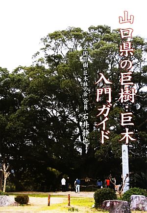 山口県の巨樹・巨木入門ガイド