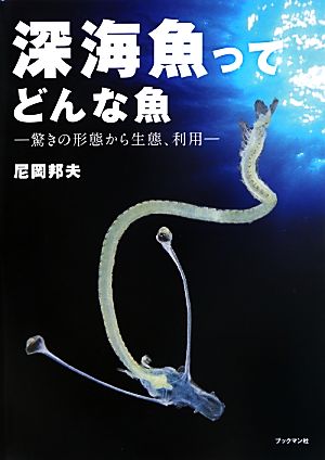 深海魚ってどんな魚 驚きの形態から生態、利用