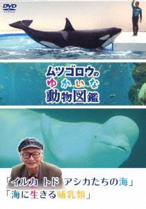 ムツゴロウのゆかいな動物図鑑シリーズ「イルカ トド アシカたちの海」「海に生きる哺乳類」