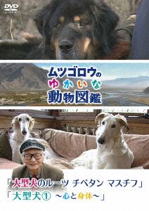 ムツゴロウのゆかいな動物図鑑シリーズ「大型犬のルーツ チベタンマスチフ」「大型犬(1)～心と身体～」