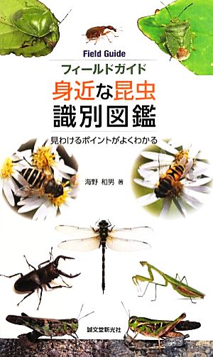 フィールドガイド身近な昆虫識別図鑑 見わけるポイントがよくわかる