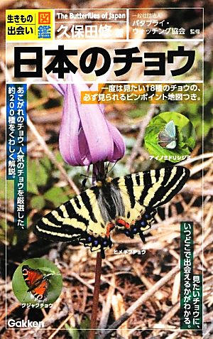 日本のチョウ 生きもの出会い図鑑