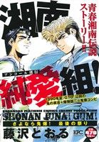 【廉価版】湘南純愛組！ さよなら鬼爆！最後の祭り(アンコール刊行)(34) 講談社プラチナC