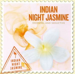 SCENTS OF THE WORLD～INDIAN NIGHT JASMINE
