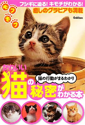 かわいい猫の秘密がわかる本 猫の行動がまるわかり