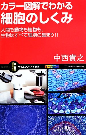 カラー図解でわかる細胞のしくみ 人間も動物も植物も、生物はすべて細胞の集まり!! サイエンス・アイ新書