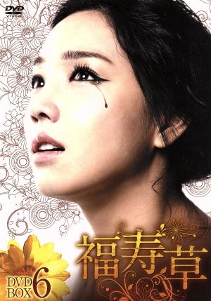 福寿草 DVD-BOX6