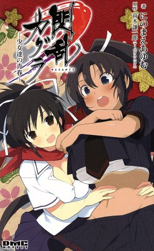 閃乱カグラ 少女達の青春 DMC NOVELS