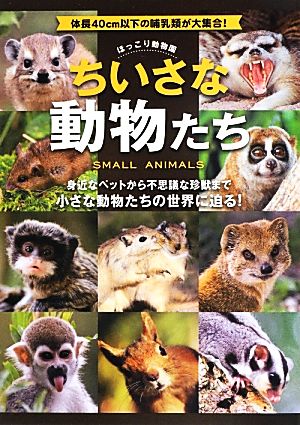 ちいさな動物たち ほっこり動物園 体長40cm以下の哺乳類が大集合！