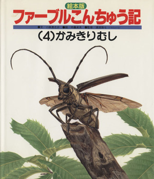 えほん版 ファーブルこんちゅう記(4) かみきりむし チャイルド科学絵本館