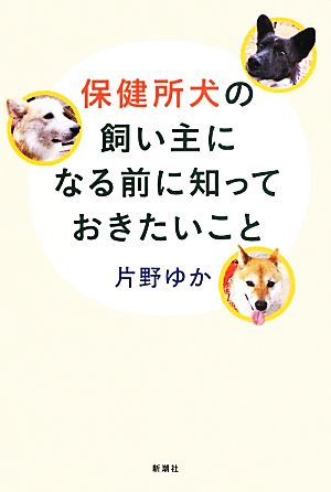 保健所犬の飼い主になる前に知っておきたいこと